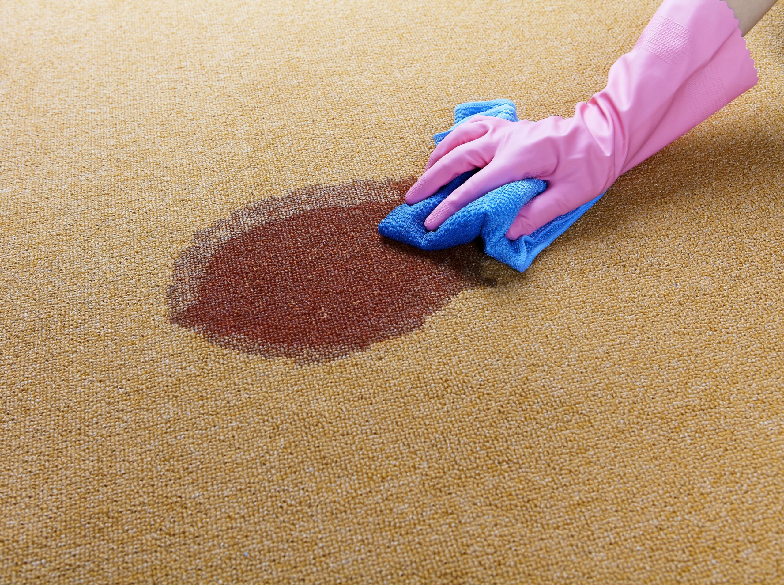 Quick & Effective Carpet Cleaners in Nottingham: Fresh Carpets in No Time